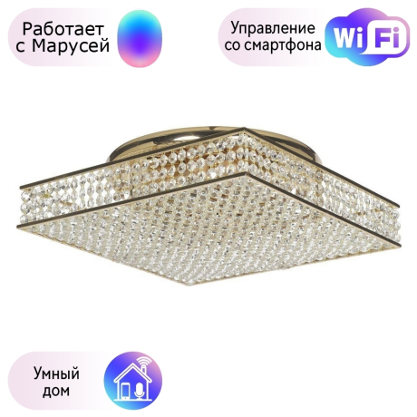 Потолочная люстра Dio DArte Elite с поддержкой Маруся Como E 1.2.40.100 G-М 