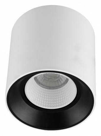 Накладной светильник Denkirs Rodvig DK3090-WB+WH 