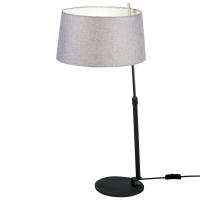 Настольная лампа декоративная Maytoni Bergamo MOD613TL-01B