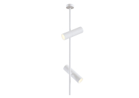 Светильник на штанге Maytoni Technical Elti C021CL-02W