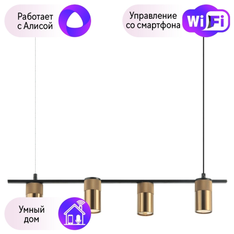 Подвесной светильник Favourite Topper с поддержкой Алиса 2827-4P-А 