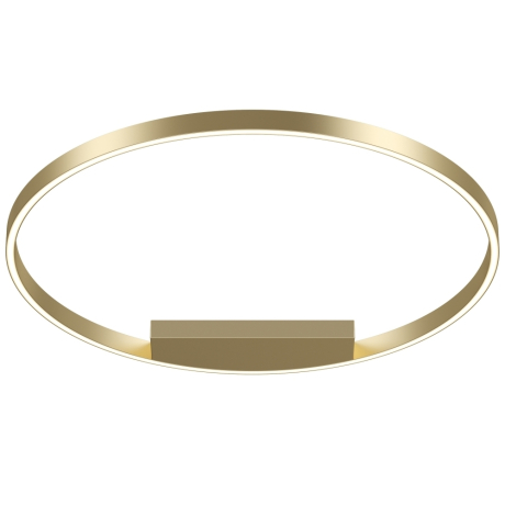 Накладной светильник Maytoni Rim MOD058CL-L50BSK 