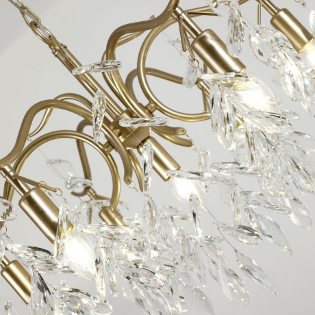 Подвесная люстра Favourite Brillo с поддержкой Алиса 3003-7P-A 