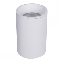 Накладной светильник Maytoni Technical Zoom C029CL-01-S-W