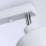 Спот Ambrella Light TR TR8141 