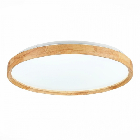 Накладной светильник EVOLUCE DELIA SLE201382-01 