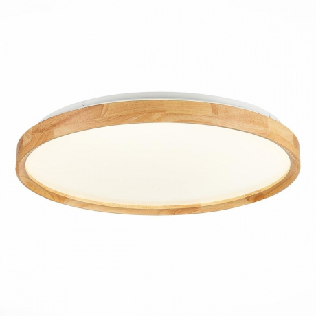 Накладной светильник EVOLUCE DELIA SLE201382-01 