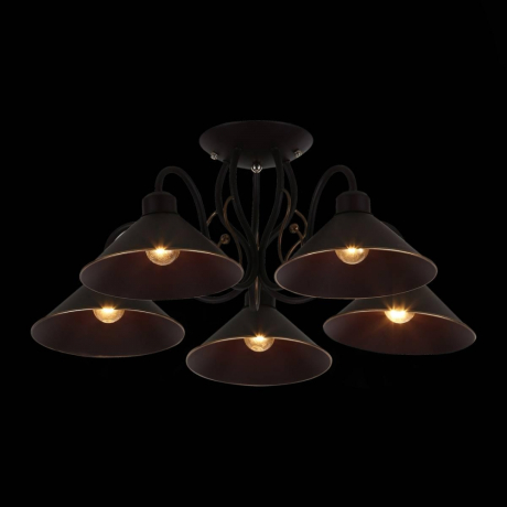 Люстра на штанге EVOLUCE Ciolla SLE120402-05 