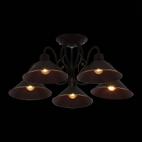 Люстра на штанге EVOLUCE Ciolla SLE120402-05