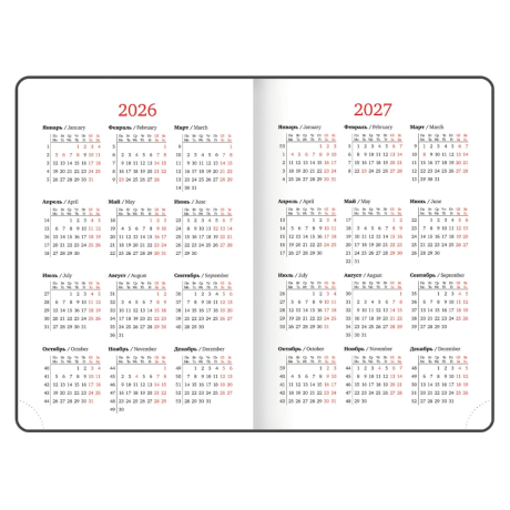 Нарушена упаковка!  <795101> Ежедневник датированный 2026, А5, 138x213 мм, BRAUBERG "Profile", балакрон, синий, 117073