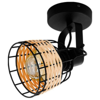 Спот Eglo Anwick 1 43324