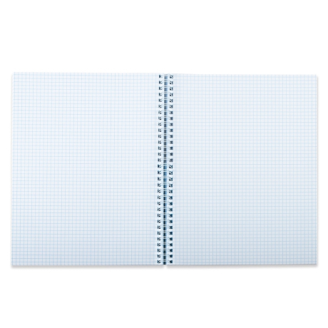 Нарушена упаковка!  <319647> Тетрадь А4, 80 л., BRAUBERG, гребень, клетка, обложка твердая, "Nature", 404054 (404054)