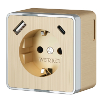 Розетка с заземлением и со шторками и USB Werkel Gallant (шампань рифленый) W5071710