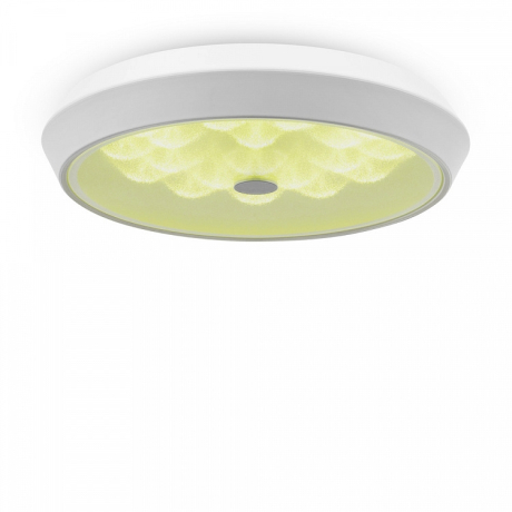 Накладной светильник Freya Cells FR10012CL-L24W 