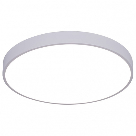 Накладной светильник Arte Lamp Arena A2670PL-1WH 