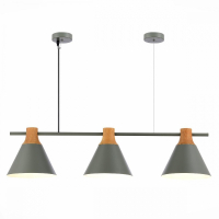 Подвесной светильник EVOLUCE Modica SLE125113-03