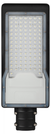 Уличный консольный светильник Эра SPP-502-0-50K-100 (Б0051832)