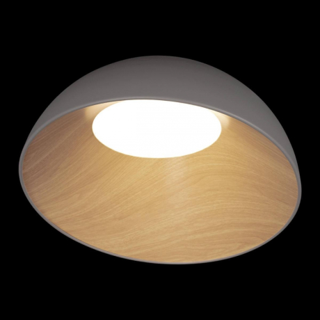 Накладной светильник Loft it Egg 10197/500 Grey 