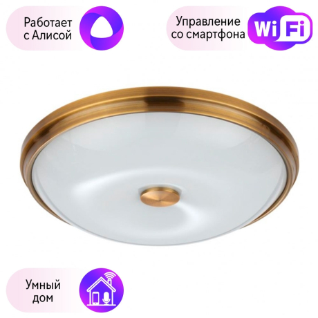 Настенно-потолочный светильник Pelow Odeon Light с поддержкой Алиса 4956/4-A 