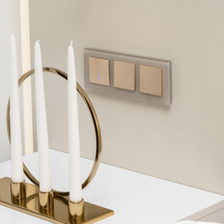 Выключатель проходной одноклавишный без рамки Werkel шампань рифленый W1112010