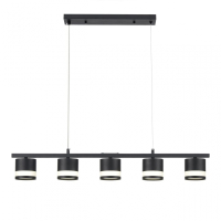 Подвесной светильник Lumion Lanika 8240/5