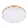 Накладной светильник Loft it Flims 10228/B 