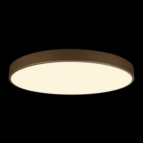 Накладной светильник Loft it Flims 10228/B 