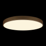 Накладной светильник Loft it Flims 10228/B 