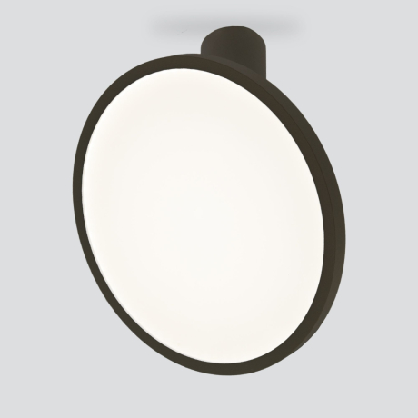 Накладной потолочный светодиодный светильник Elektrostandard Brain DLS029 12W 4200K черный матовый (a047772) 