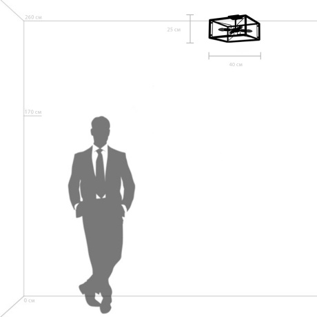 Потолочный светильник Lightstar с поддержкой Алисы, Regolo 713347 