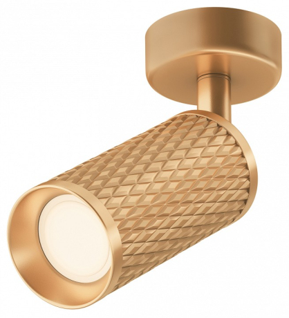 Спот Maytoni Technical Focus Design C034CL-01G 