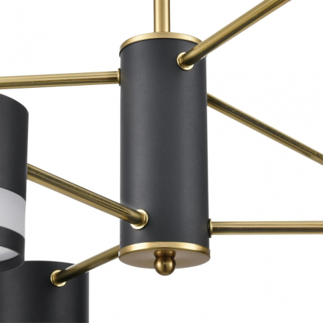 Люстра на штанге Lumion Lanika 8240/6C 