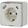 Розетка с заземлением и со шторками и USB Werkel Gallant (слоновая кость) W5071703 