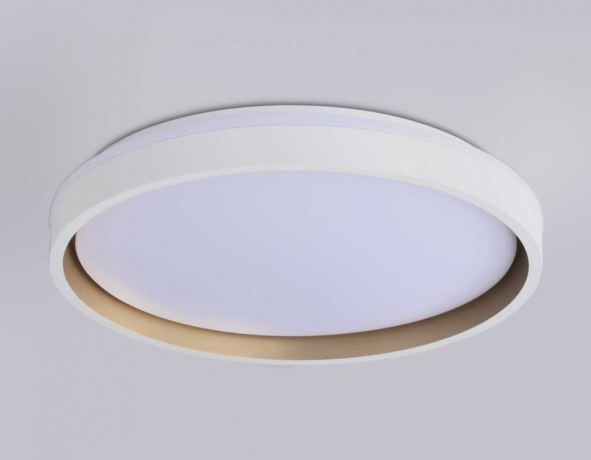 Накладной светильник Ambrella Light FZ FZ607 