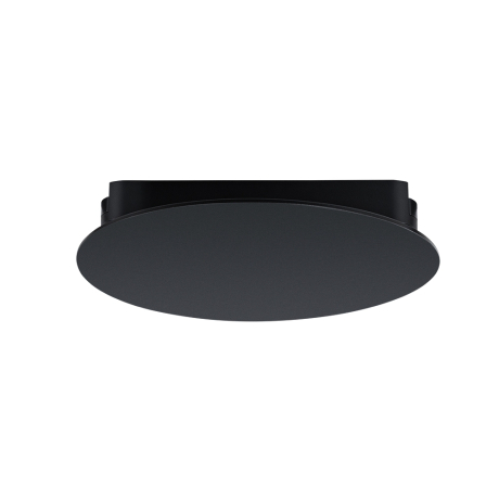 Накладной светильник Arte Lamp Rapid A6163PL-1BK