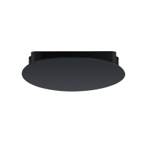 Накладной светильник Arte Lamp Rapid A6163PL-1BK