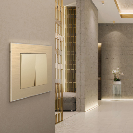 Рамка на 1 пост Werkel Aluminium (шампань) W0011711