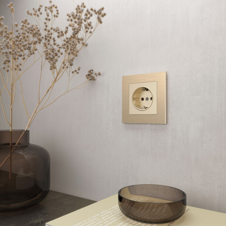 Рамка на 1 пост Werkel Aluminium (шампань) W0011711