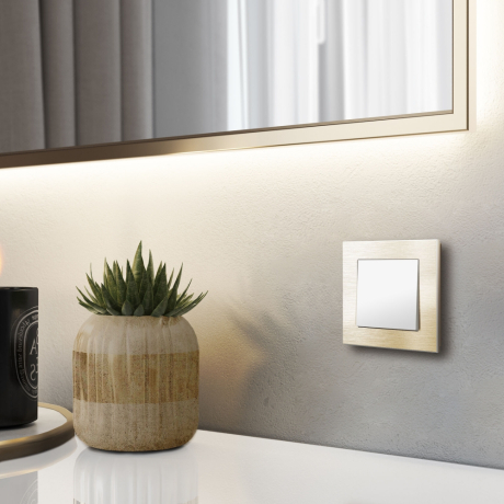 Рамка на 1 пост Werkel Aluminium (шампань) W0011711