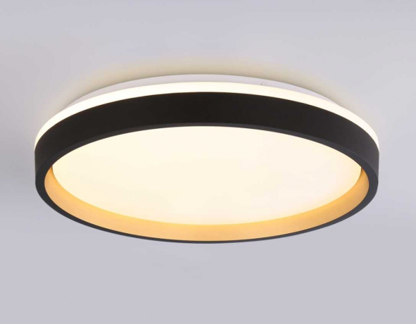 Накладной светильник Ambrella Light FZ FZ610