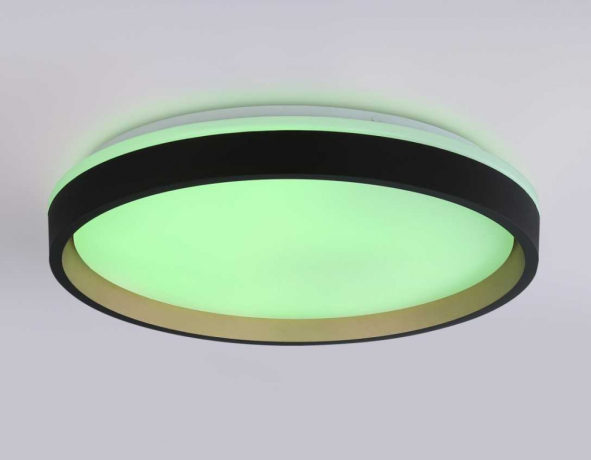 Накладной светильник Ambrella Light FZ FZ610