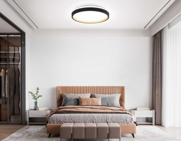 Накладной светильник Ambrella Light FZ FZ610