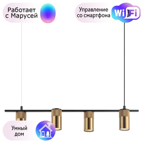 Подвесной светильник Favourite Topper с поддержкой Маруся 2827-4P-М 