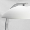 Настольная лампа Lussole Lgo Falcon LSP-0558 
