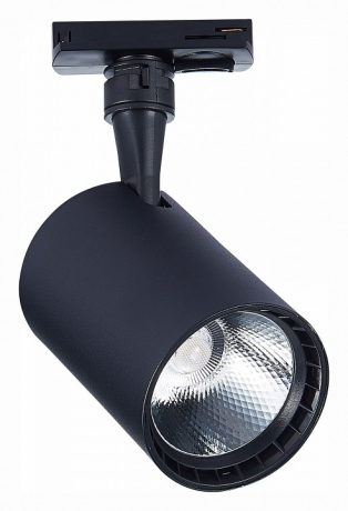 Светильник на штанге ST-Luce Cami ST351.446.20.36 