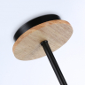 Люстра на штанге Ambrella Light FL FL51619 