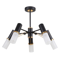Люстра на штанге F-promo Viator 2558-5P