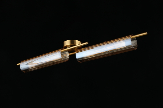 Накладной светильник Aployt Lusia APL.315.07.04 