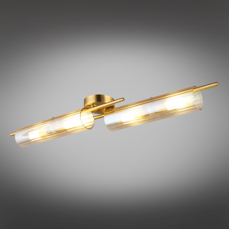 Накладной светильник Aployt Lusia APL.315.07.04 