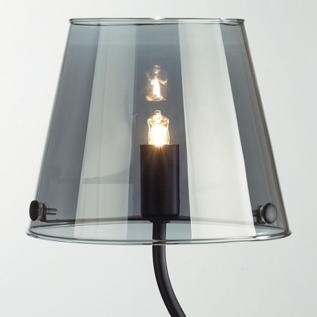 Настольная лампа с лампочкой LUMION 6570/1T+Lamps 